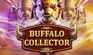 Buffalo Collector